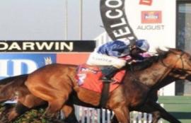 Darwin Cup Racing Tips