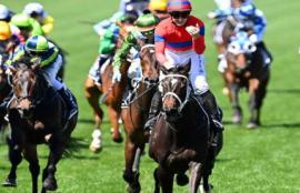 2022 Melbourne Cup Preview & Tips