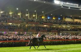 Horse Racing Tips