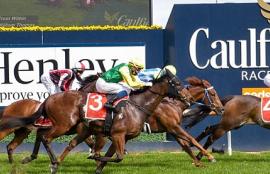 Horse Racing Betting Tips