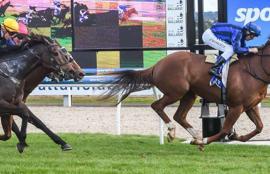 Ballarat Racing Tips Wednesday September 30th