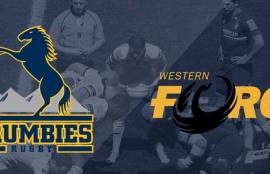 Super Rugby Qualifying Final Betting Tips