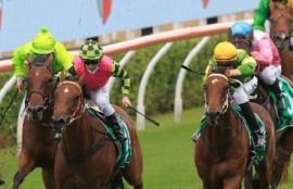 Wednesday Racing Tips September 15th