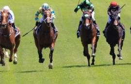 Randwick Racing Tips