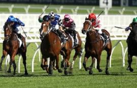 Horse Racing Saturday Betting Tips