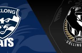 AFL Cats vs Mapgies Betting Tips