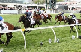 Caulfield Racing Tips