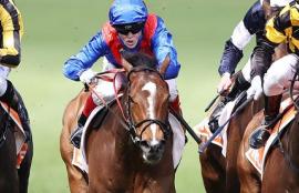 Horse Racing Betting Tips