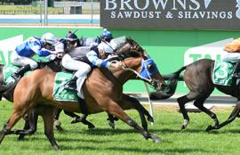 Australian Horse Racing Tips Sunday September 13th