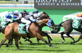 Horse Racing Wednesday Betting Tips