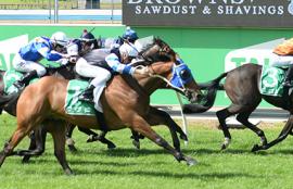 Cranbourne Racing Tips Wednesday August 5th