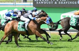 Horse Racing Betting Tips