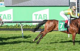 Australian Horse Racing Tips Sunday October 11th