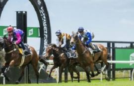 Horse Racing Betting Tips