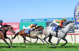 Australian Horse Racing Tips Monday October 12th