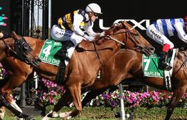 Flemington Racing Tips 2020 Turnbull Stakes Day