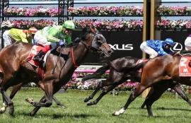 Horse Racing Betting Tips