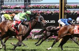 Saturday Racing July 17th