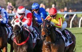 Flemington Racing Tips