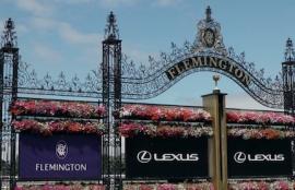 Melbourne Cup Racing Tips
