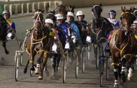 Harness Racing Tips