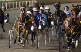 Harness Racing Tips