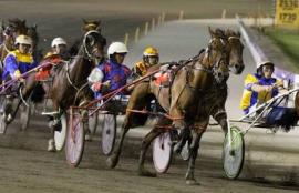 Harness Racing Tips