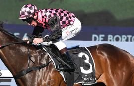 Rosehill Racing Tips 2020 Golden Rose Day