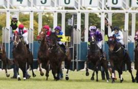 Horse Racing Betting Tips July 7th