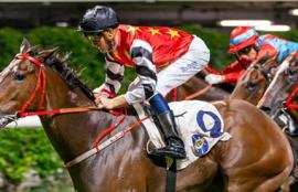 Happy Valley Racing Tips