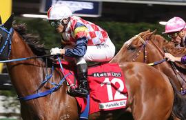 Happy Valley Racing Tips: Wednesday, October 7th