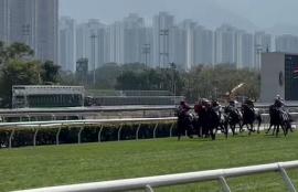 Happy Valley Racing Tips