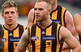 Hawthorn Hawks Team Preview