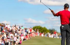 Hero Word Challenge Betting Tips