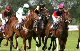 Wednesday Racing Tips