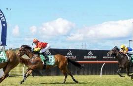 Horse Racing Betting Tips