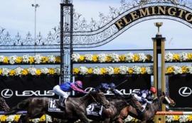 Melbourne Cup Betting Tips