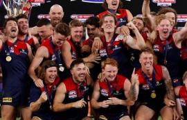 Melbourne Demons Team Preview