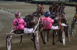 Harness Racing Tips