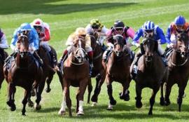 Horse Racing Tips