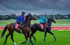 Moonee Valley Racing Tips