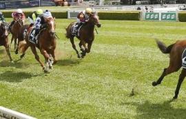 Moonee Valley Racing Tips