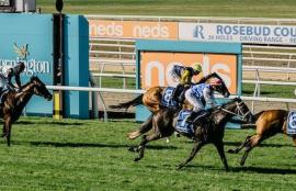 Mornington Racing Tips