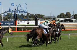 Morphettville Racing Tips