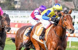 Caulfield Racing Tips Saturday July 25th
