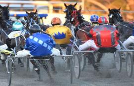 Harness Racing Tips