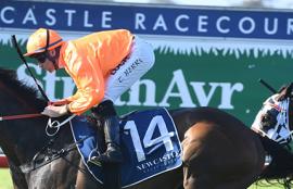 Australian Horse Racing Tips Tuesday October 13th