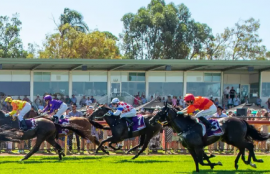 Pinjarra Racing Tips