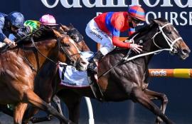 Horse Racing Betting Tips