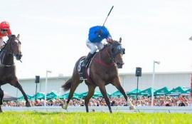 Horse Racing Saturday Betting Tips